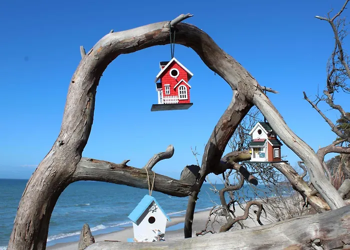 Apartamento To Huus *